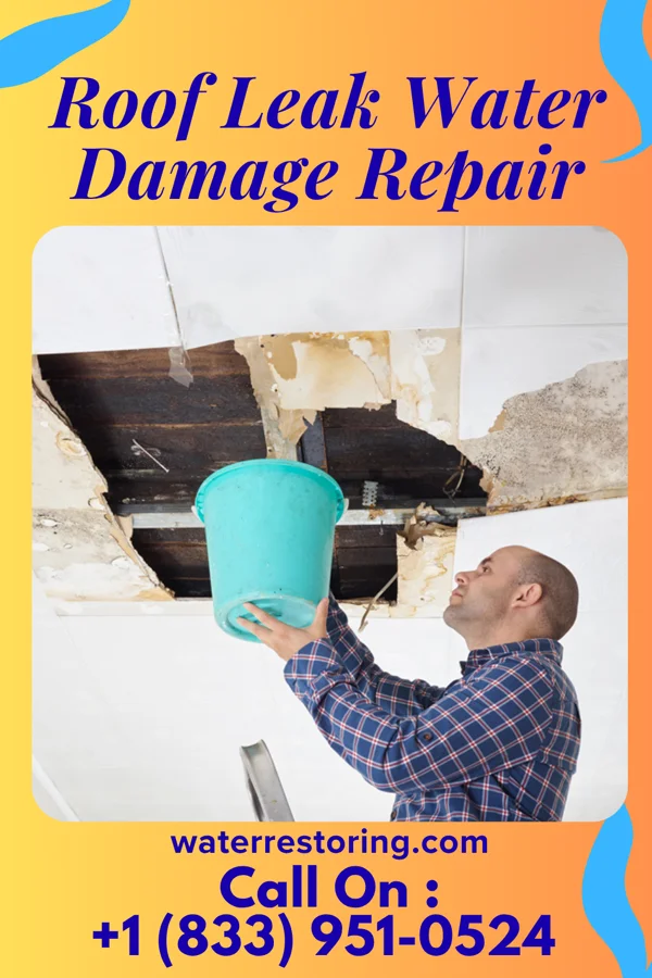 Roof Leak Water Damage Repair in Page, NE